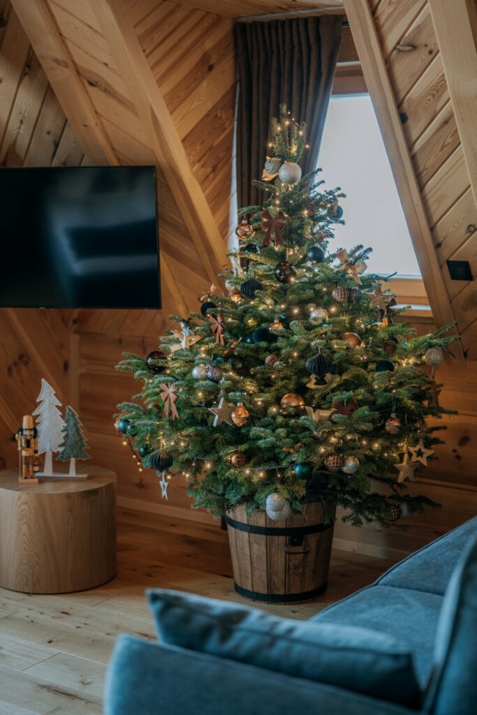 Osada Tatra Loft - Oferta na Boże Narodzenie